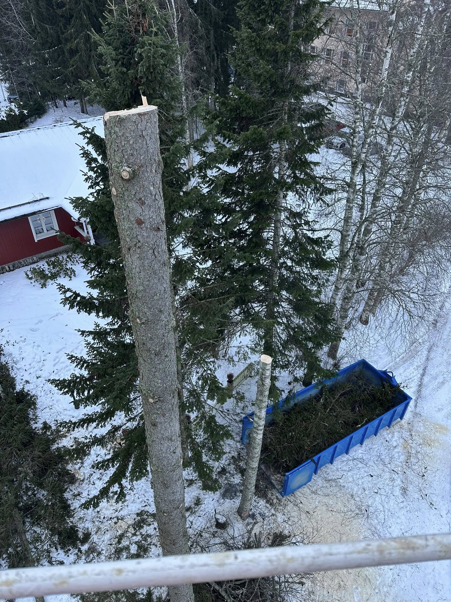 Ongelmapuiden poisto nostokorilla kuva 2