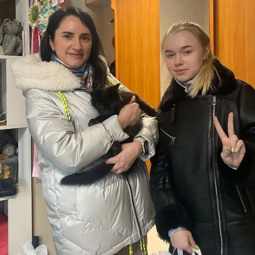 Maine Coon kitten happy