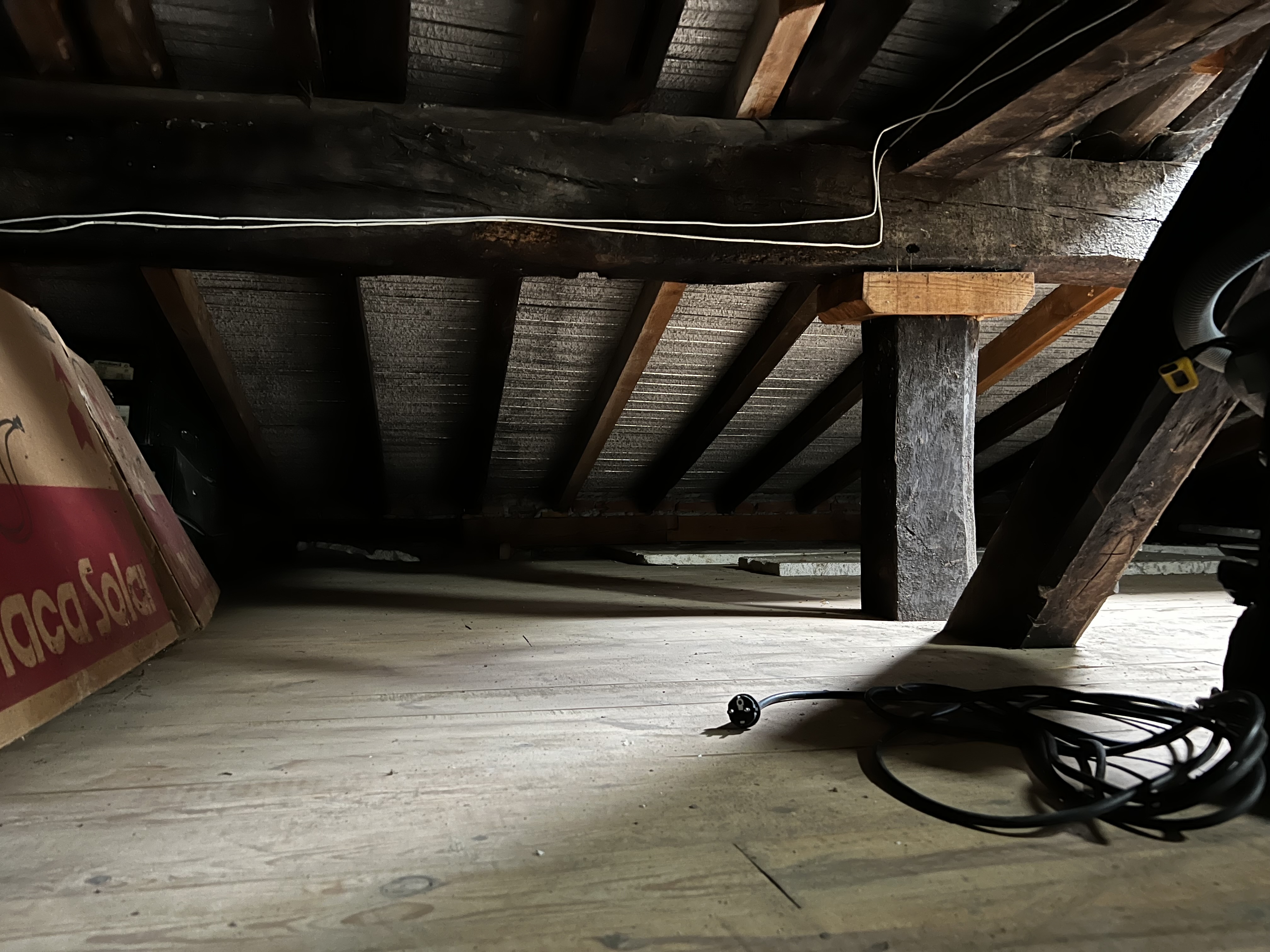 Termitas subterráneas en el caserío: detección, tratamiento y prevención