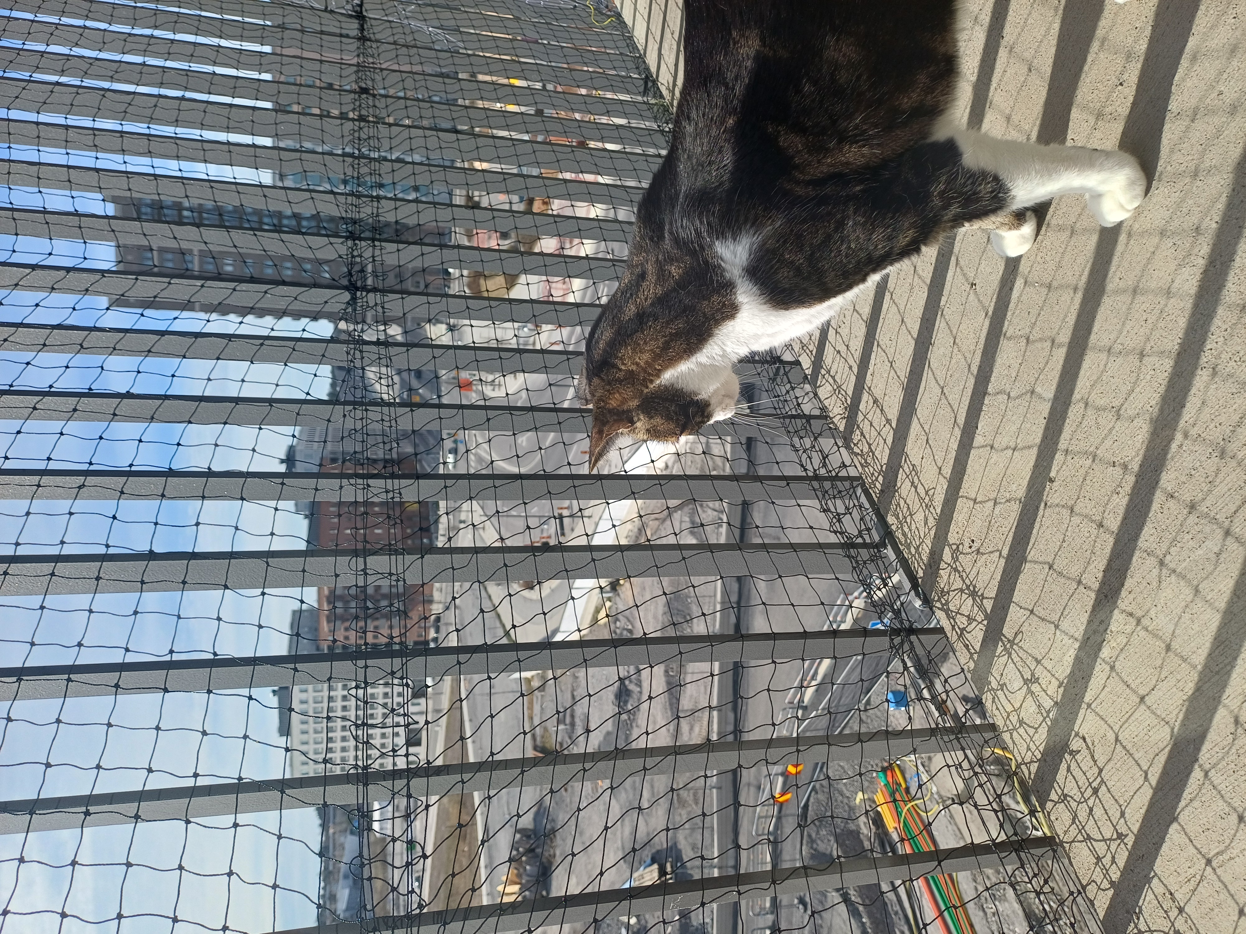 Screw-free installation