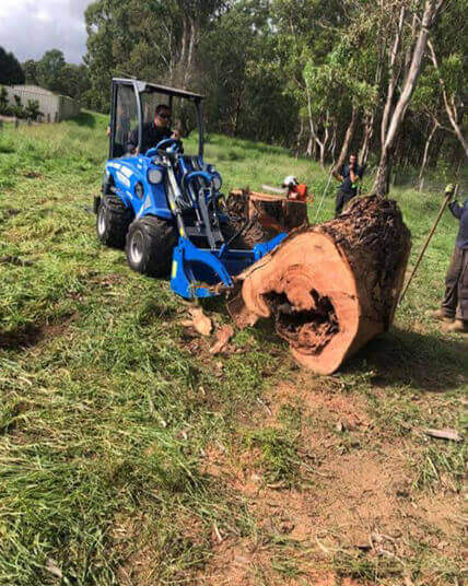 SCMTS Arbor Works team