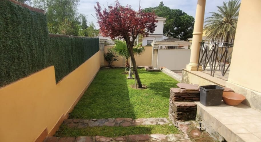 Trabajo real — Poda profesional