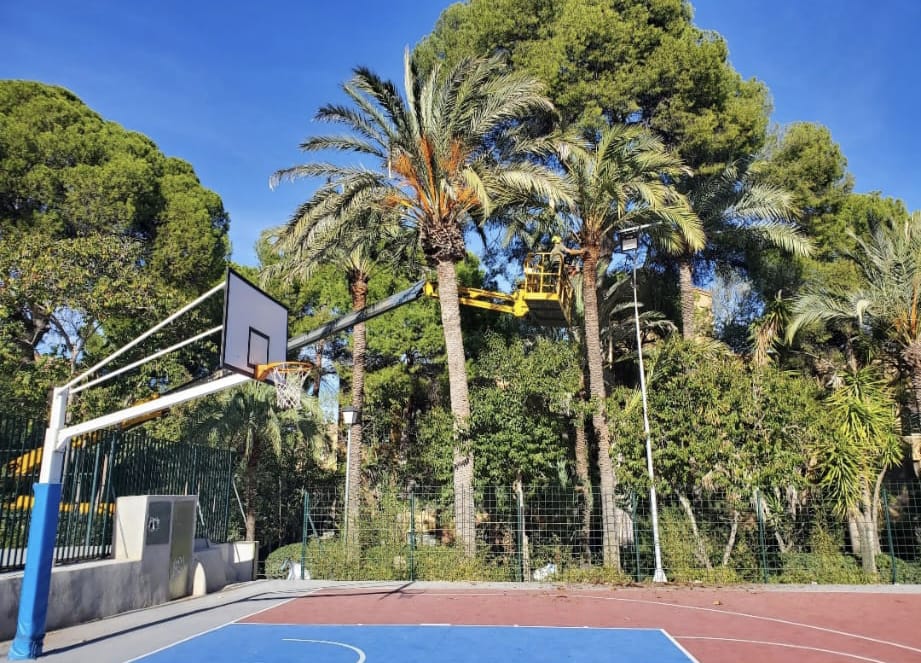 Trabajo real — Tala en altura