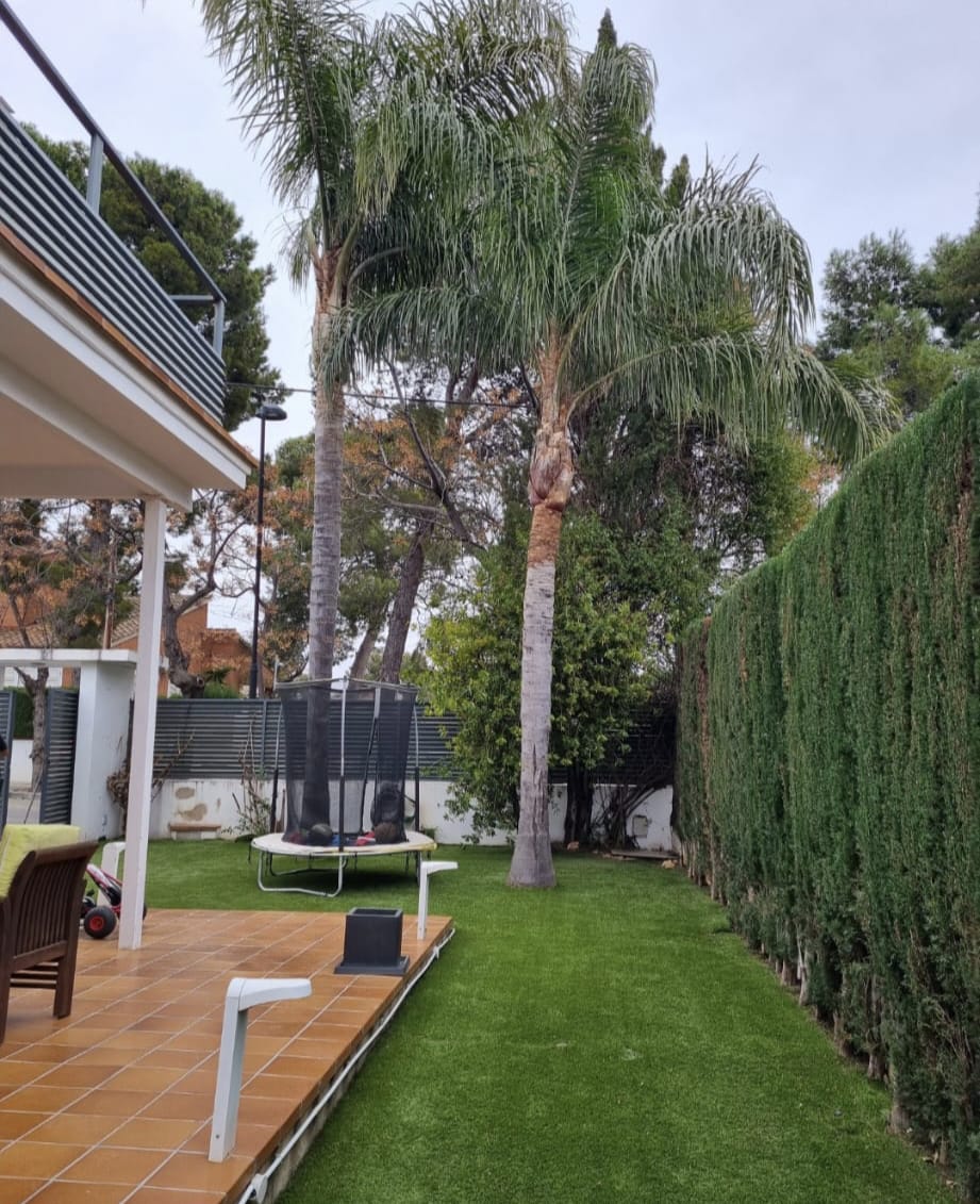 Trabajo real — Tala de árbol