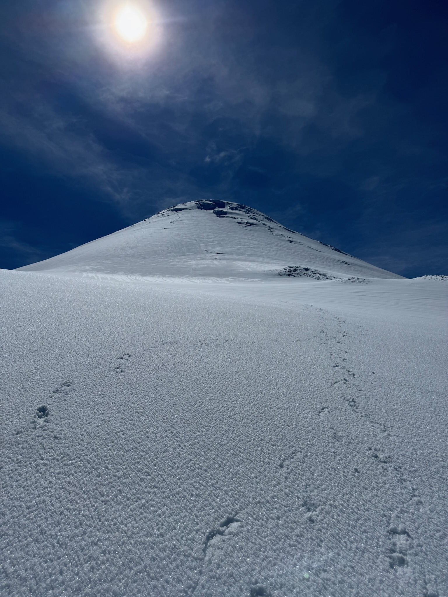 Volcán Osorno - foto 1