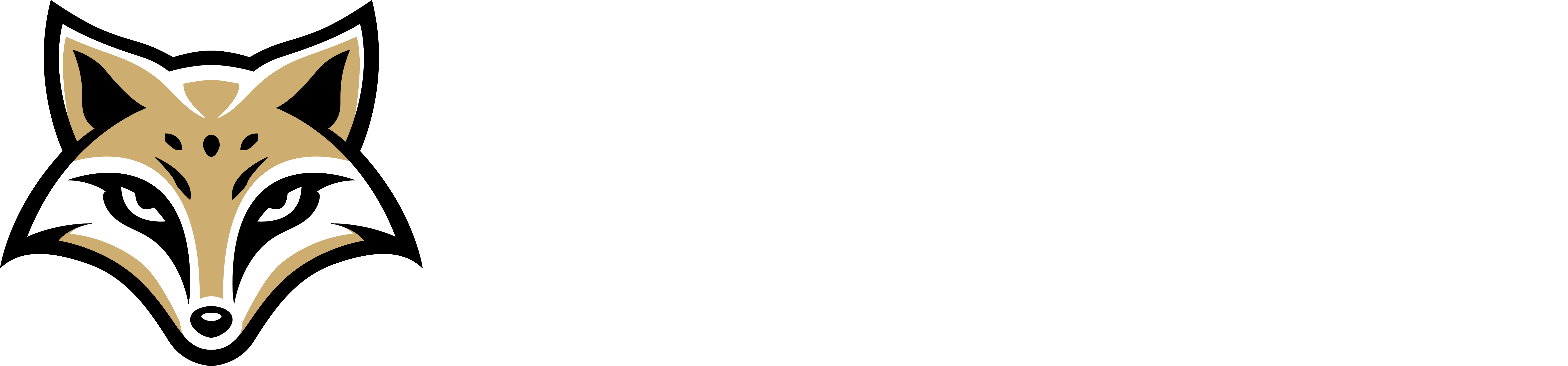 Cencal Vixens Logo