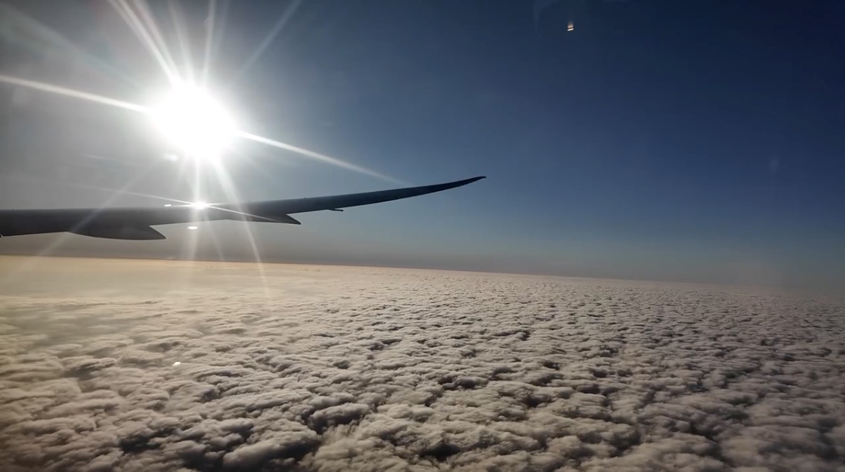 帰国後も安心。