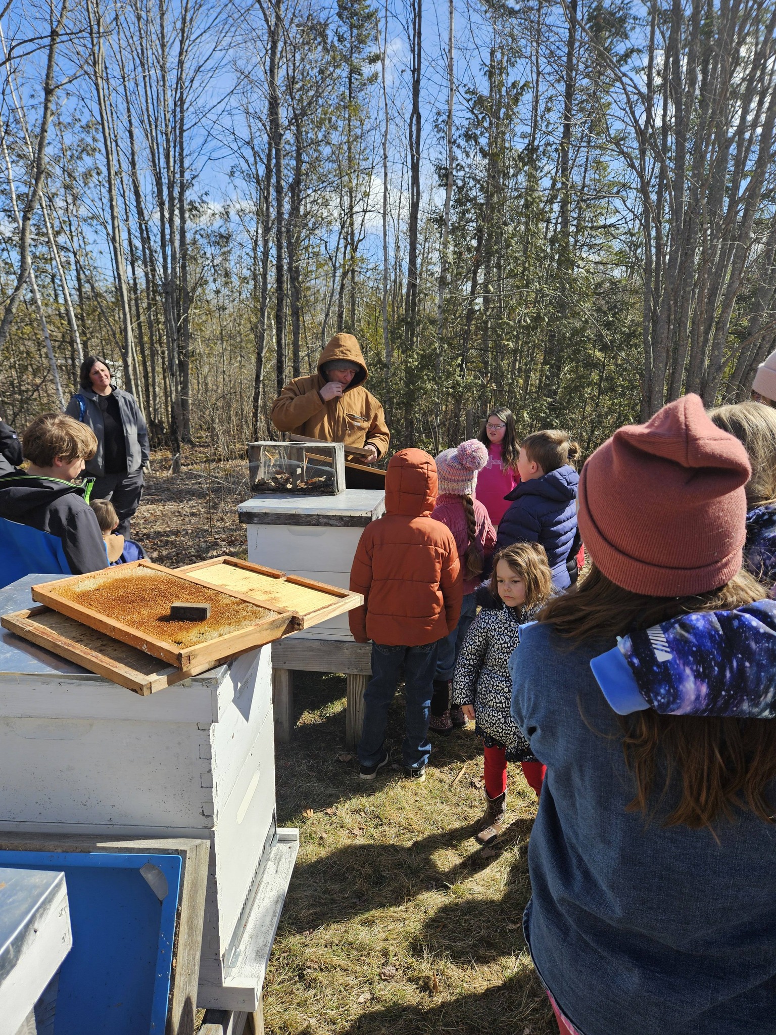 Homeschool group gathered around the hive during the tour