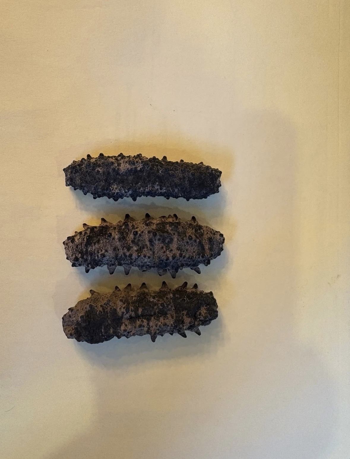 Dried Sea Cucumber