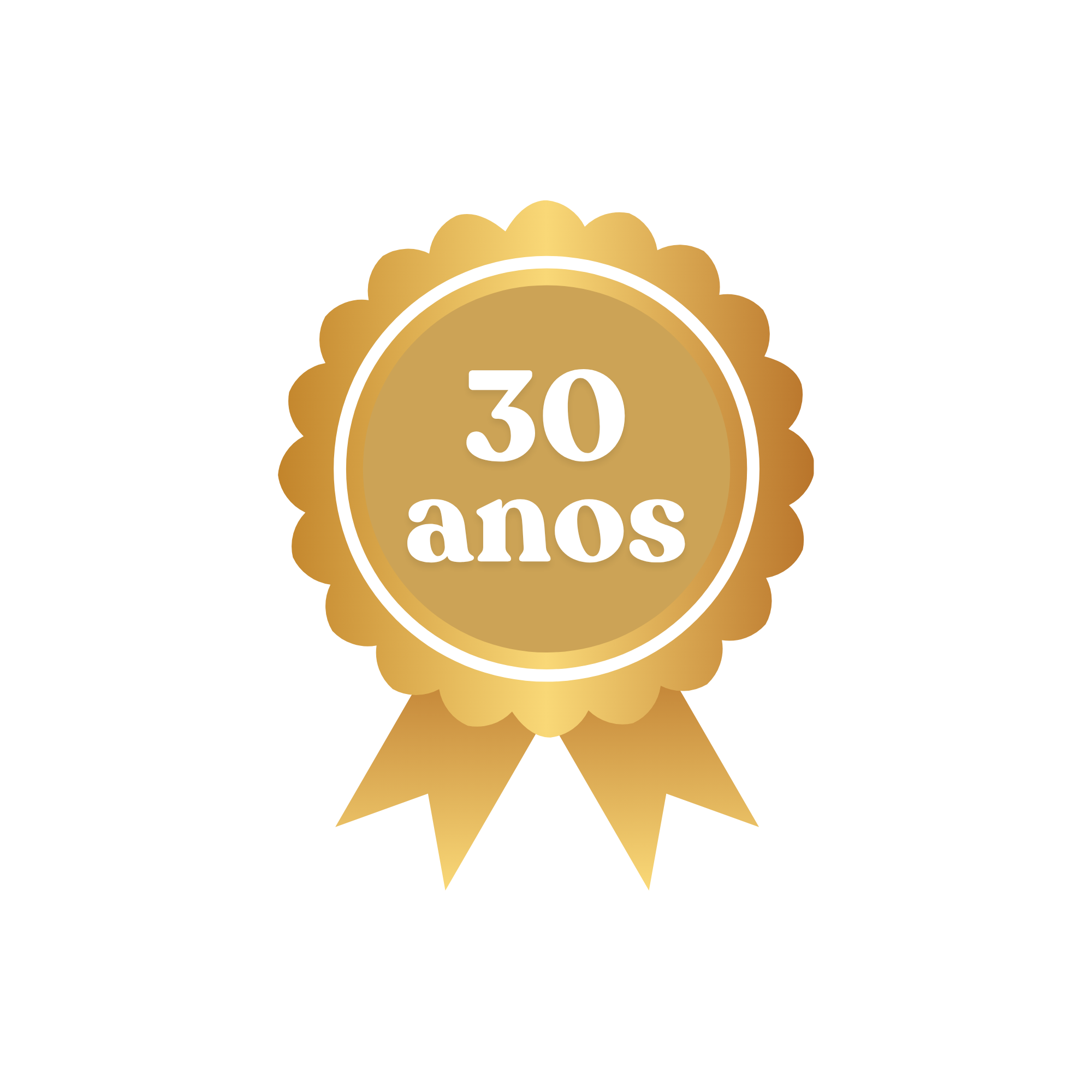 Selo de autoridade INDSProfissionais