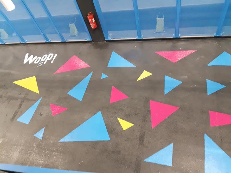 Pleskarski projekt