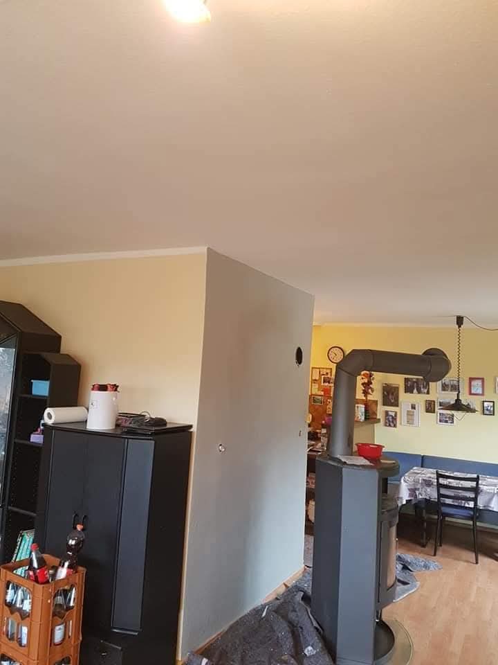 Pleskarski projekt