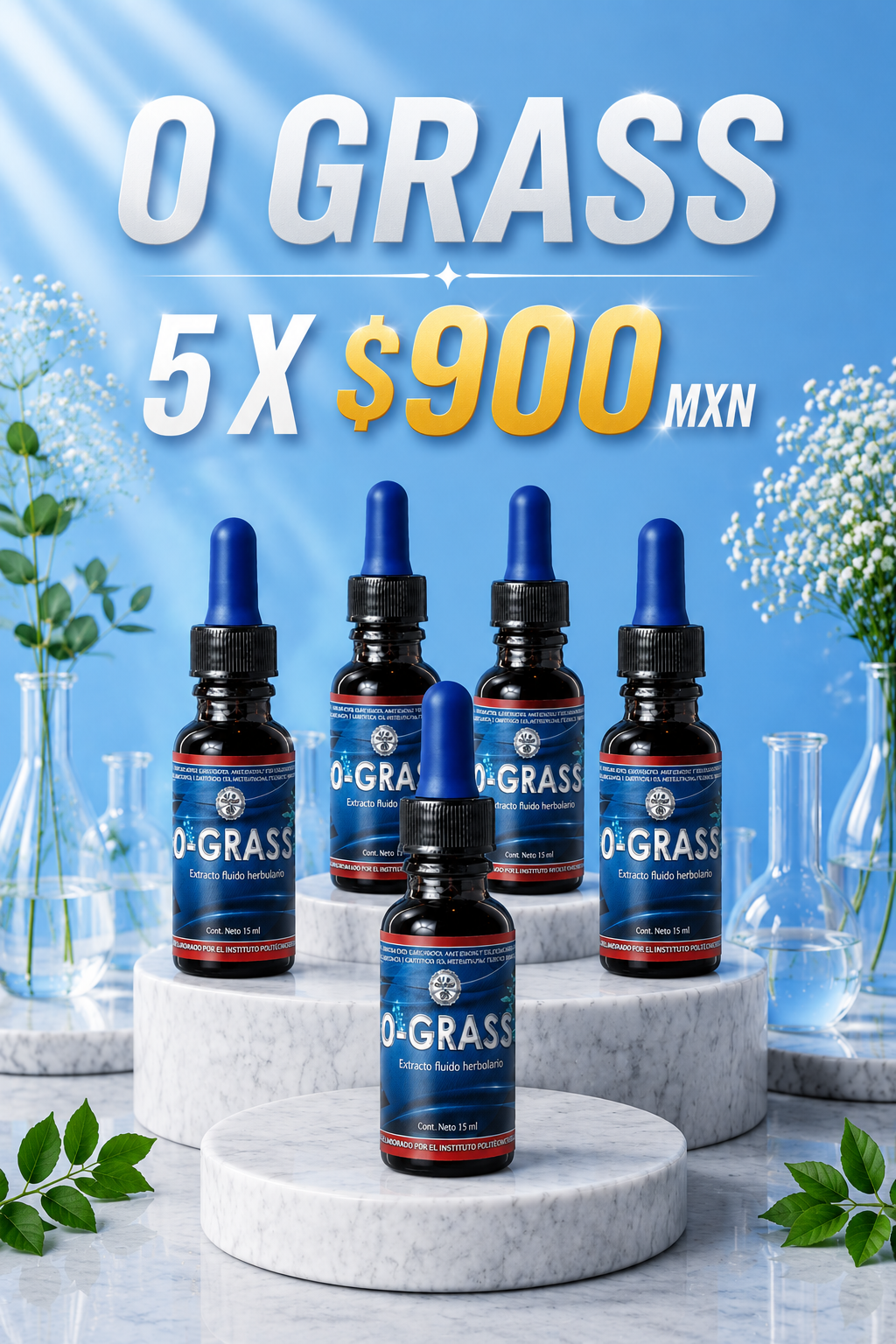 Grass
