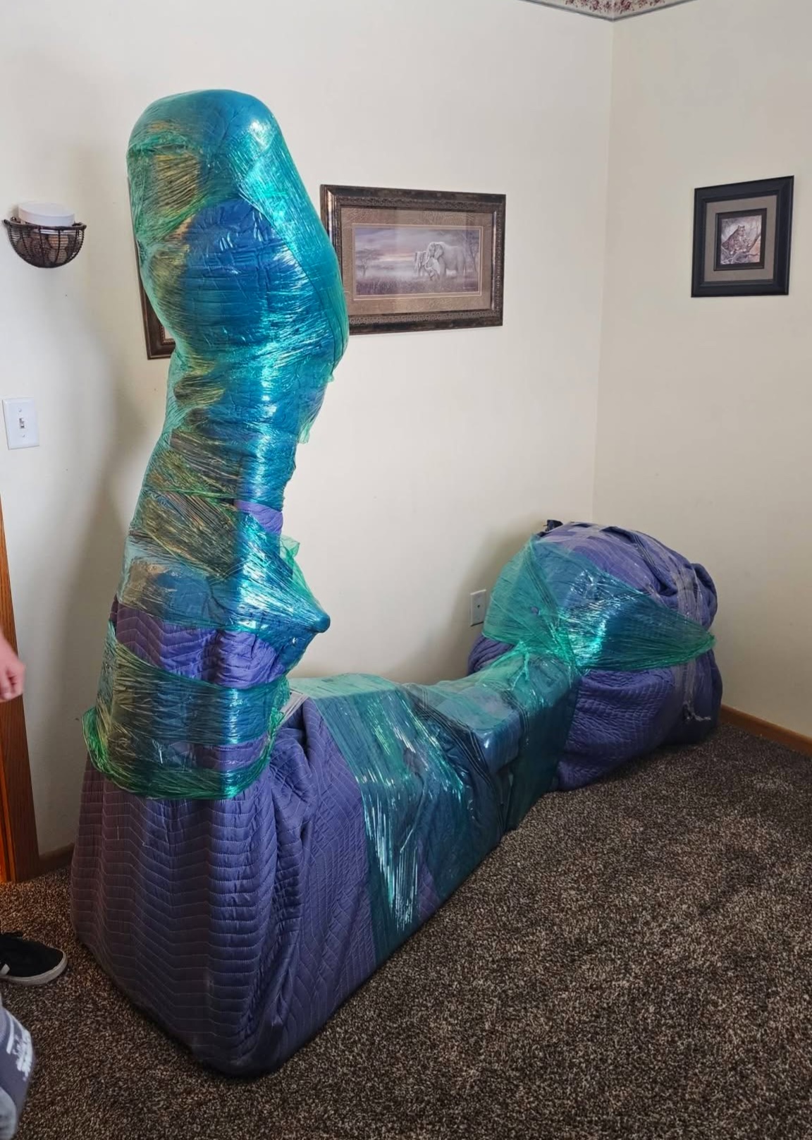 Rain, Sleet, Snow, Blizzard — We Stay Trained to Go