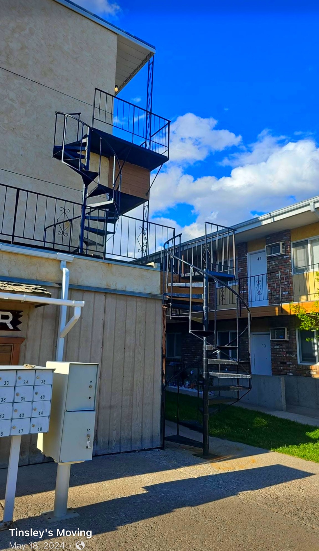 The Couch That Wouldn't Quit — And Neither Did We