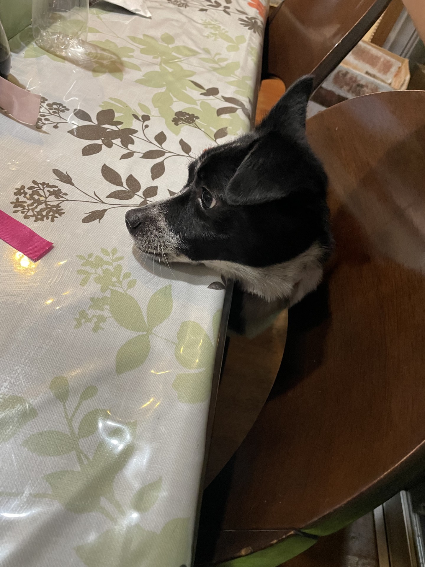 不用品回収サービス|リライフ福岡 - 引越し・遺品整理・大掃除対応