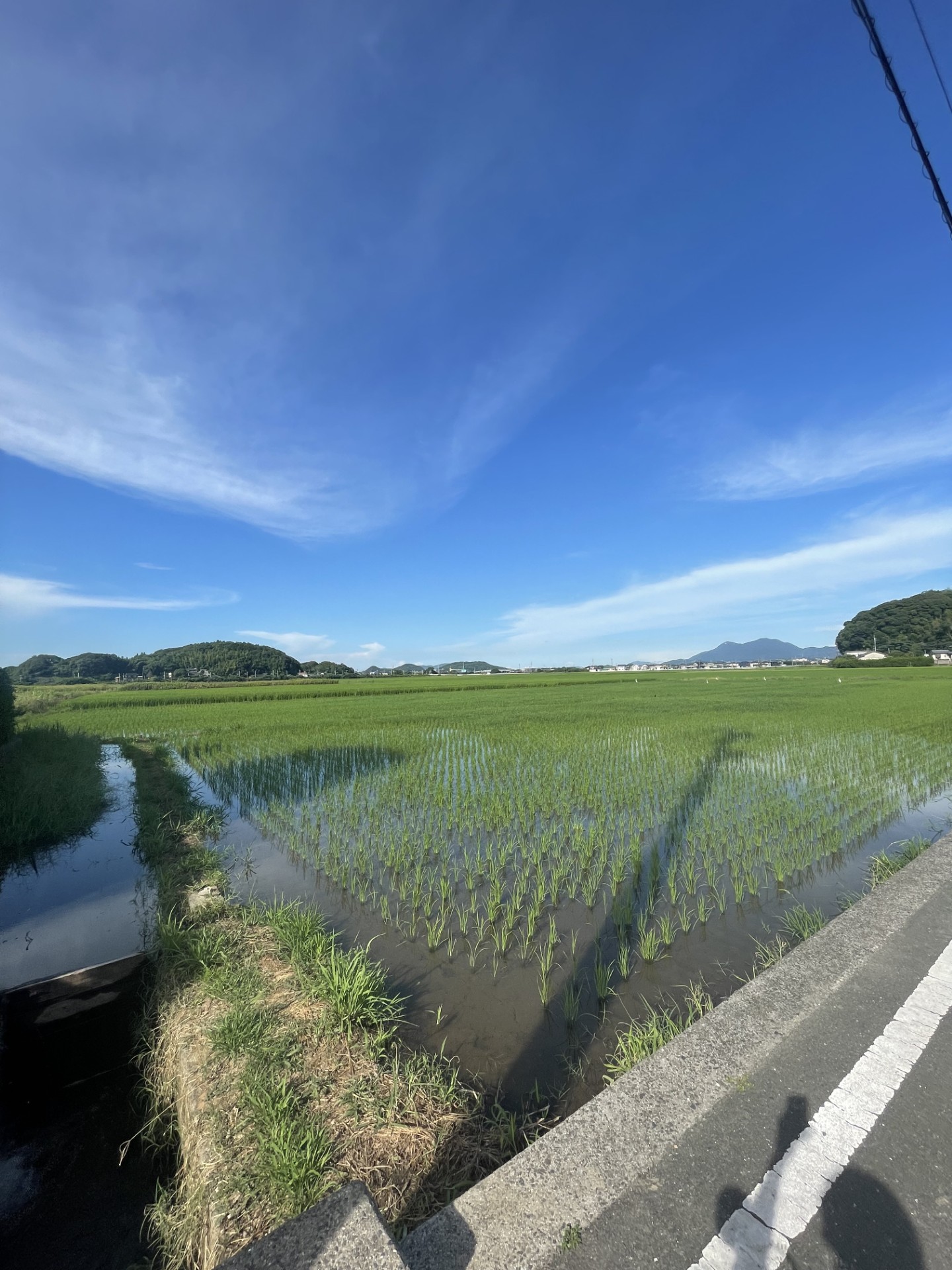 リライフ福岡 出張買取査定 出張買取査定の様子 ご自宅で丁寧に査定
