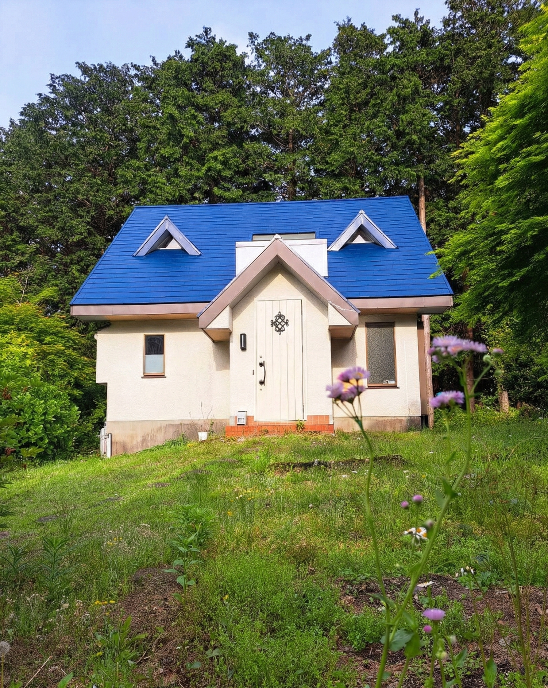 Nelの家 写真8