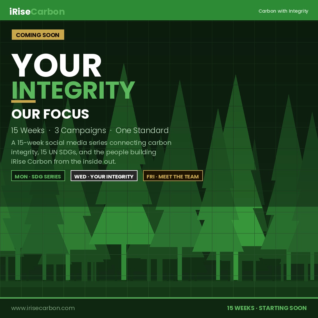 Your Integrity, Our Focus — Why We Built iRise Carbon