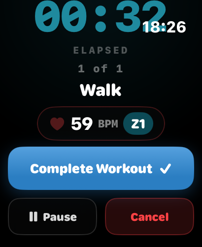 Watch · Workout Session