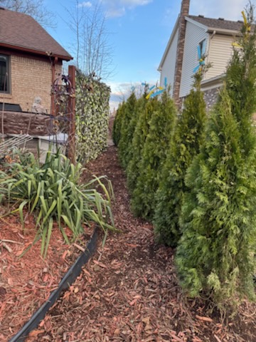 After — Eastpointe, MI