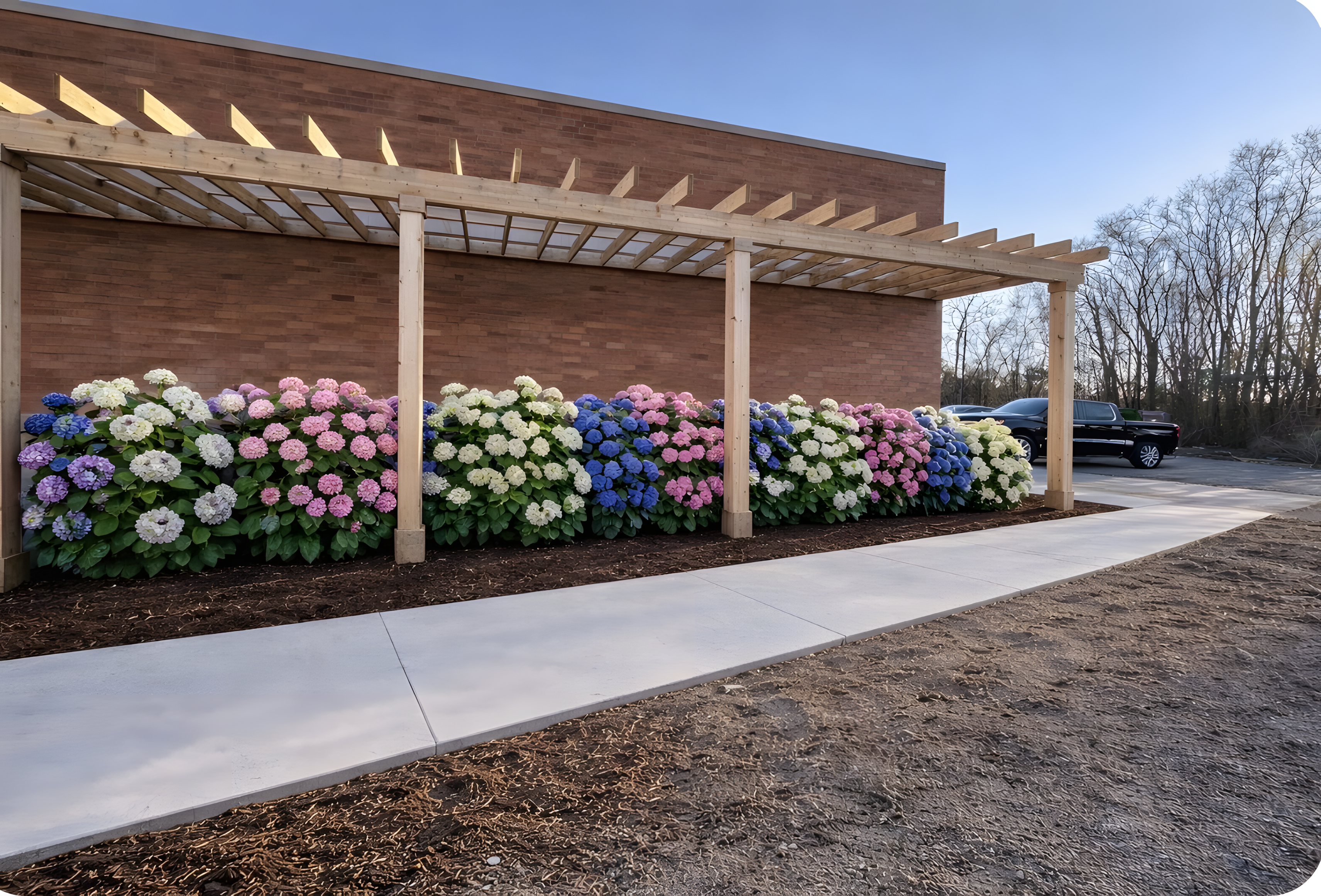 Privacy tree wall installation