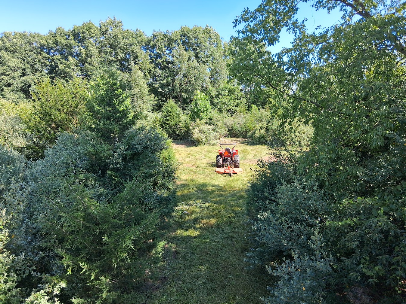 Hunting Property Management