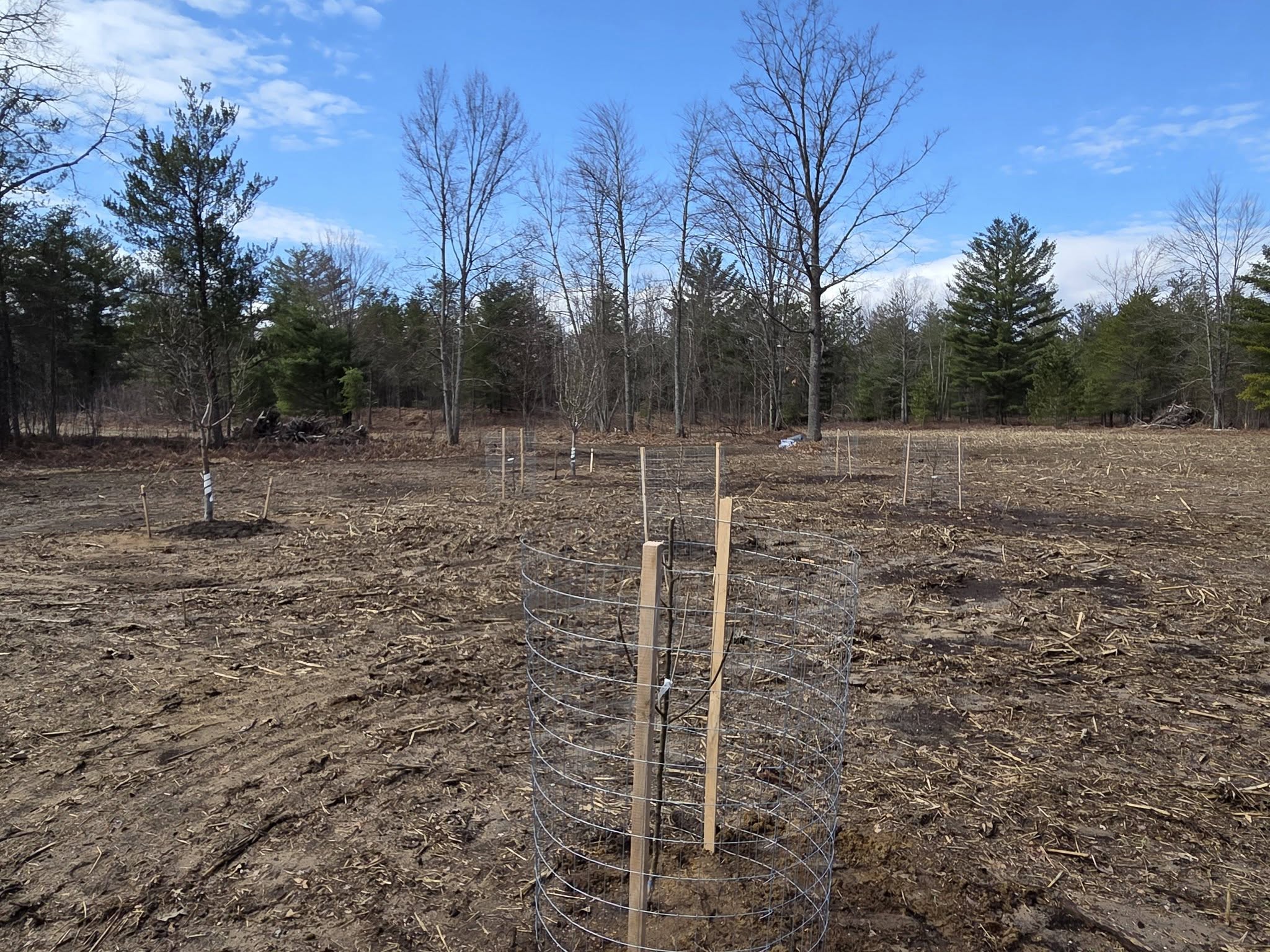 Orchard Installation