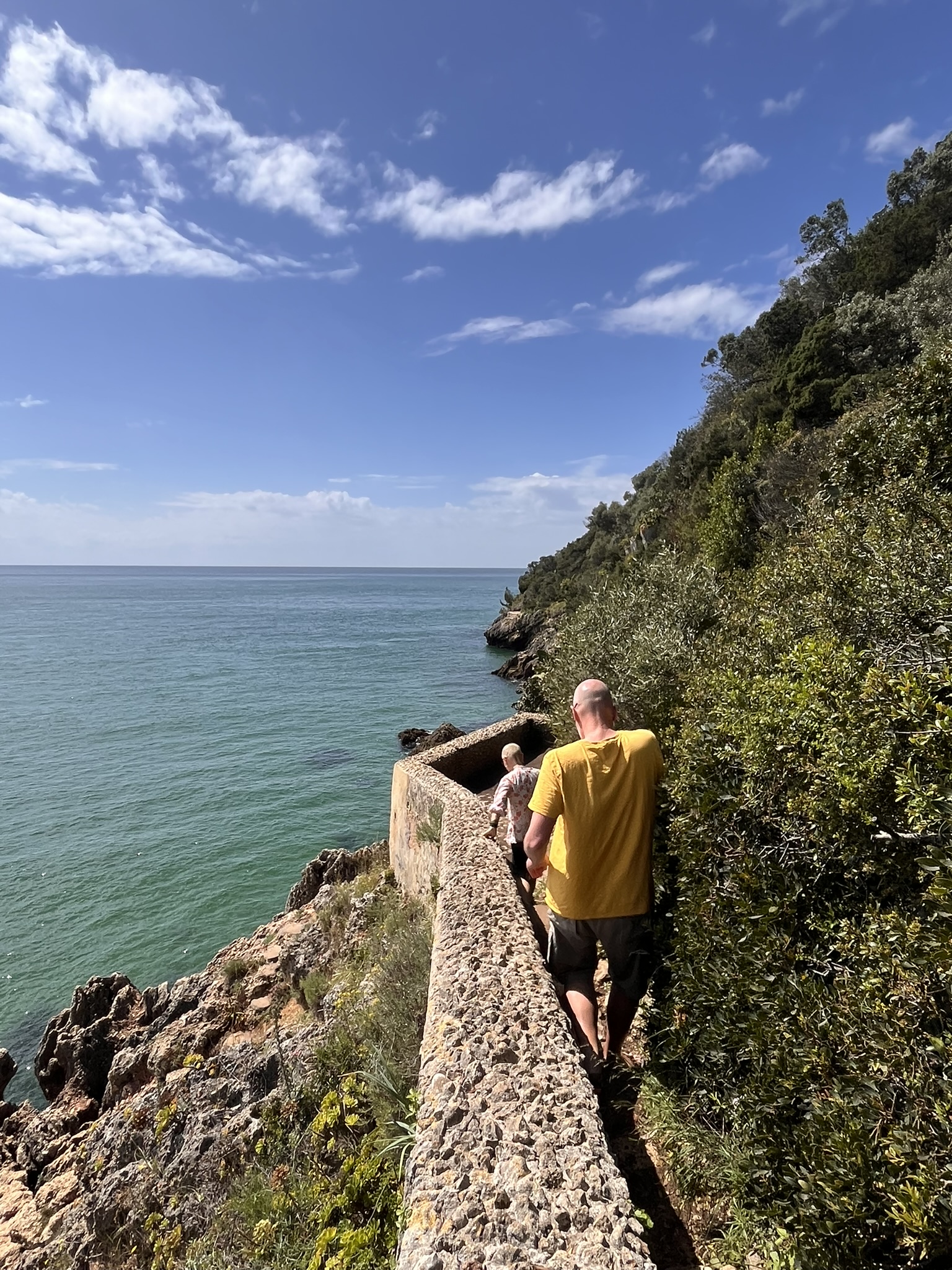 Wildlife along the Atlantic coast