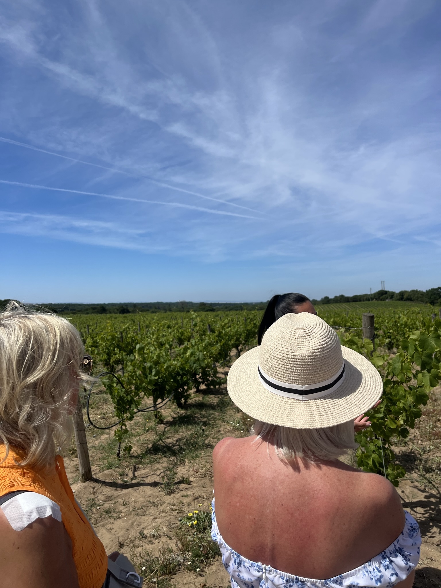 Birdwatching tour Portugal