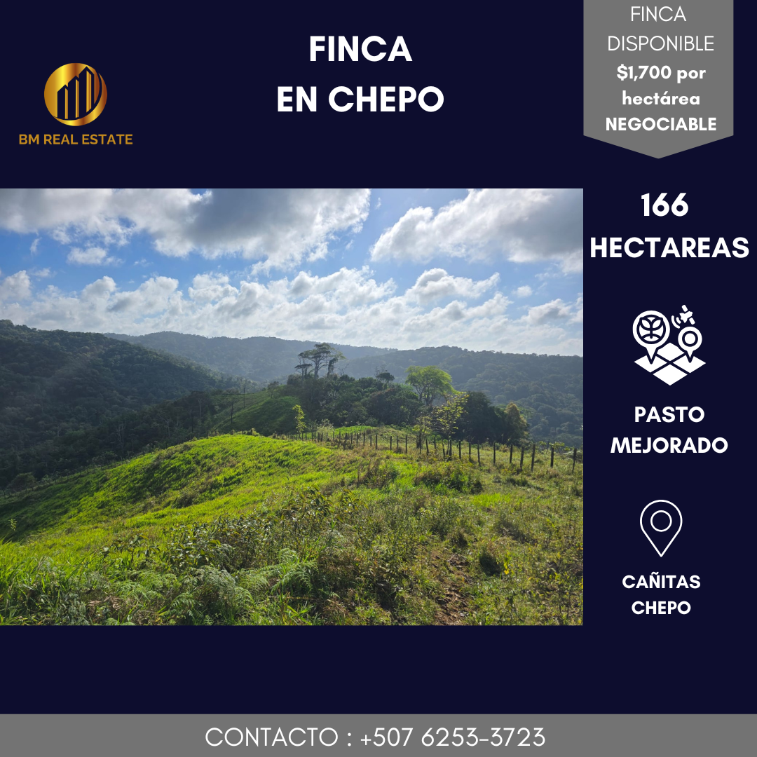 Finca en Chepo