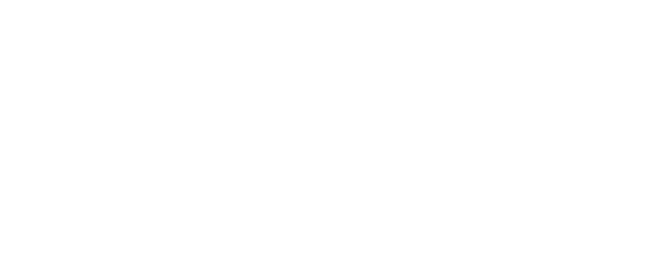 Theater NL