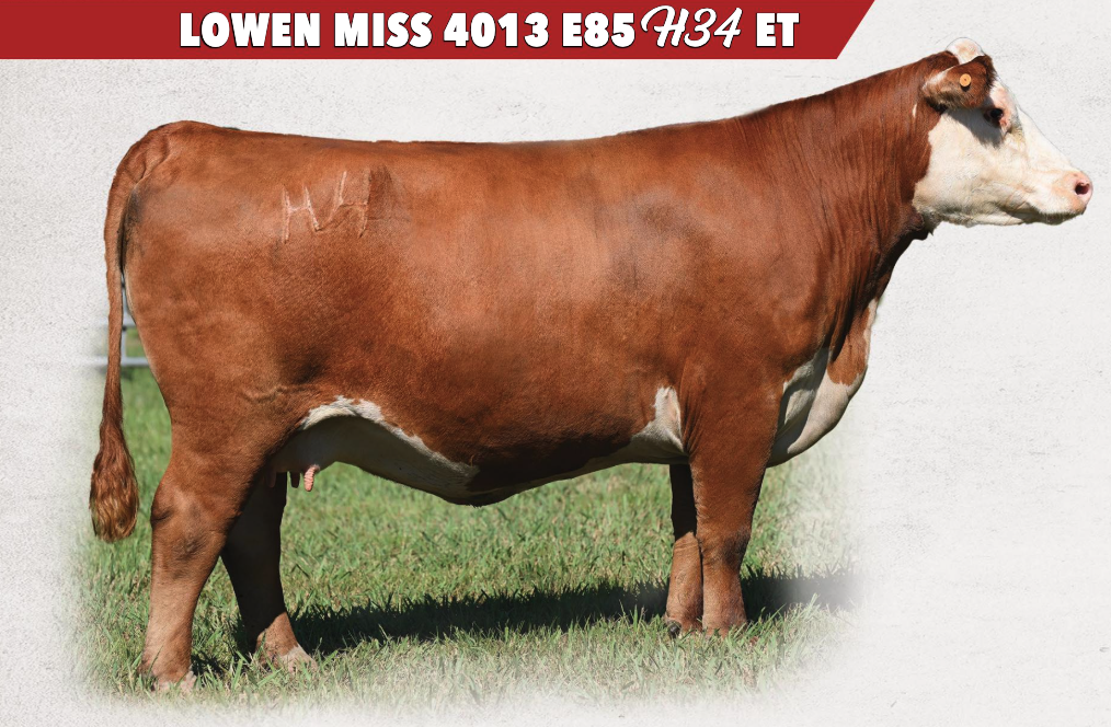 LOEWEN MISS 4013 E85 H34 ET