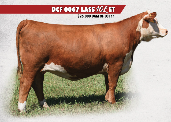 DCF 0067 LASS 16L ET