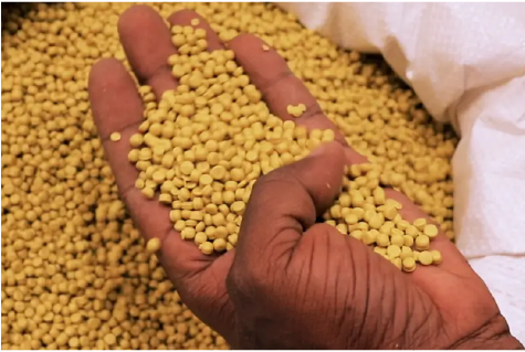 Sustainable Partnerships