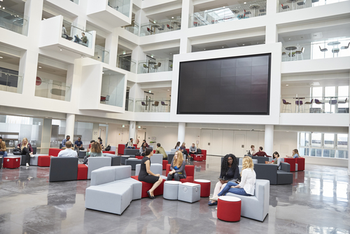 What is an Alternative to University? A Modern Approach to Higher Education