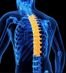 枕難民の本質は胸椎・肩甲帯の硬さ|ストレッチルーネで睡眠前の姿勢改善アプローチ