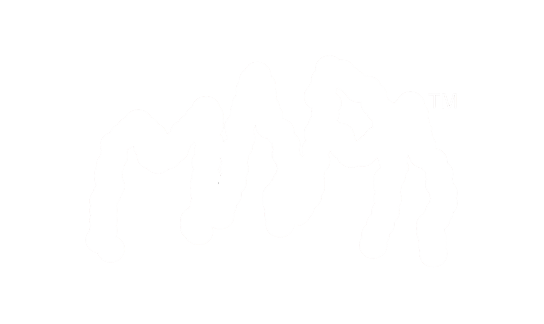 Mapa Mapa logo