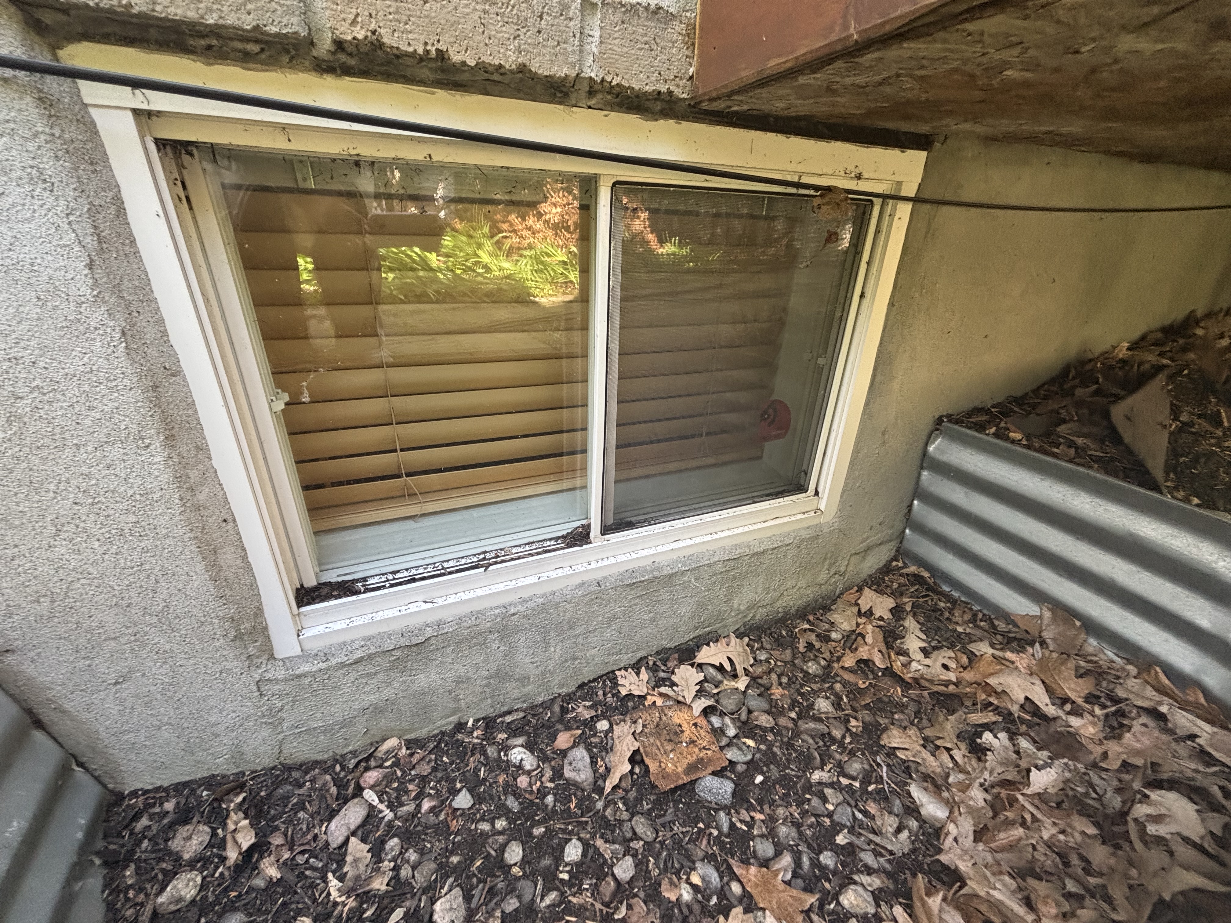 Window Cleaning Results