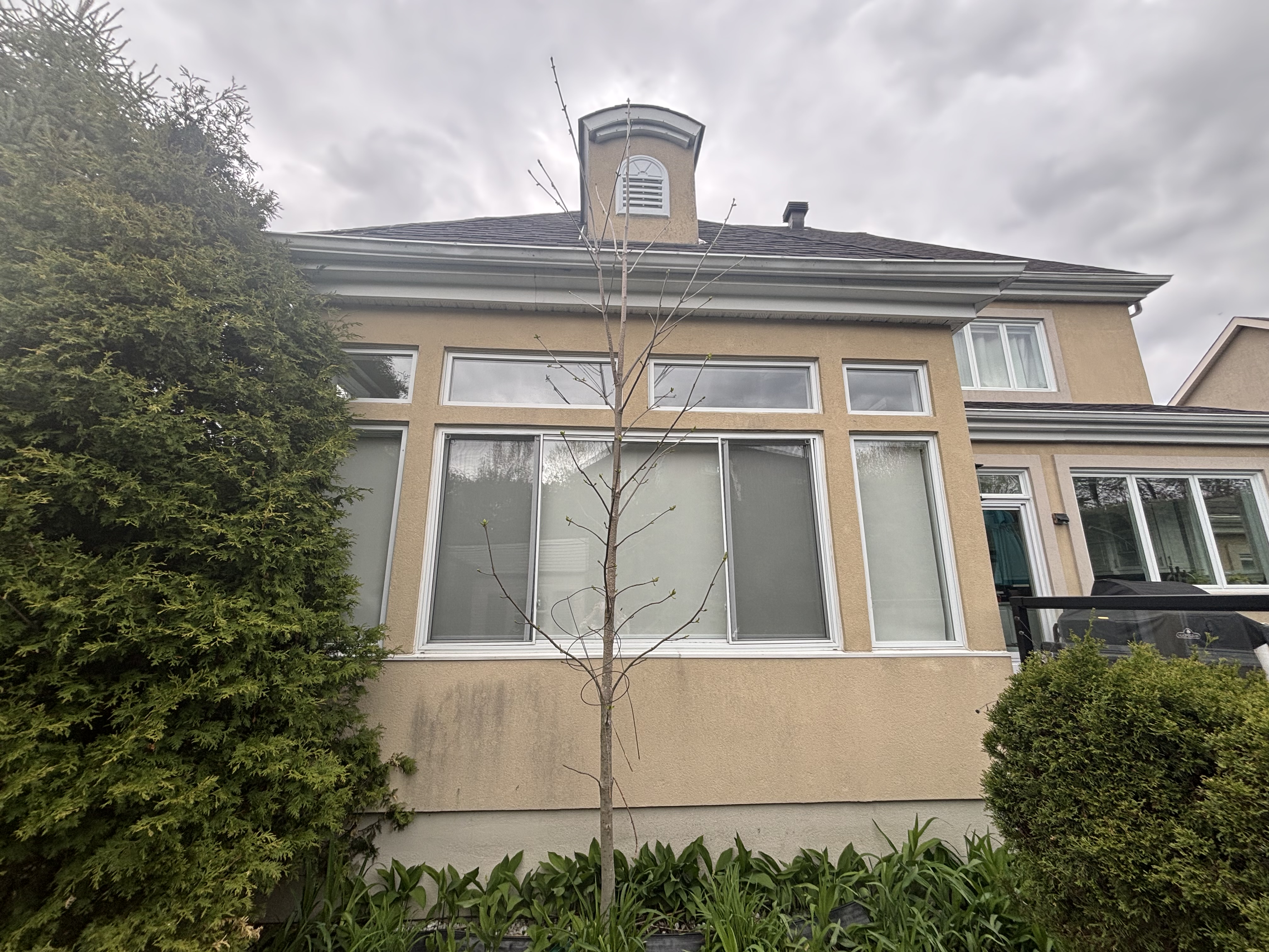 Window Cleaning Results