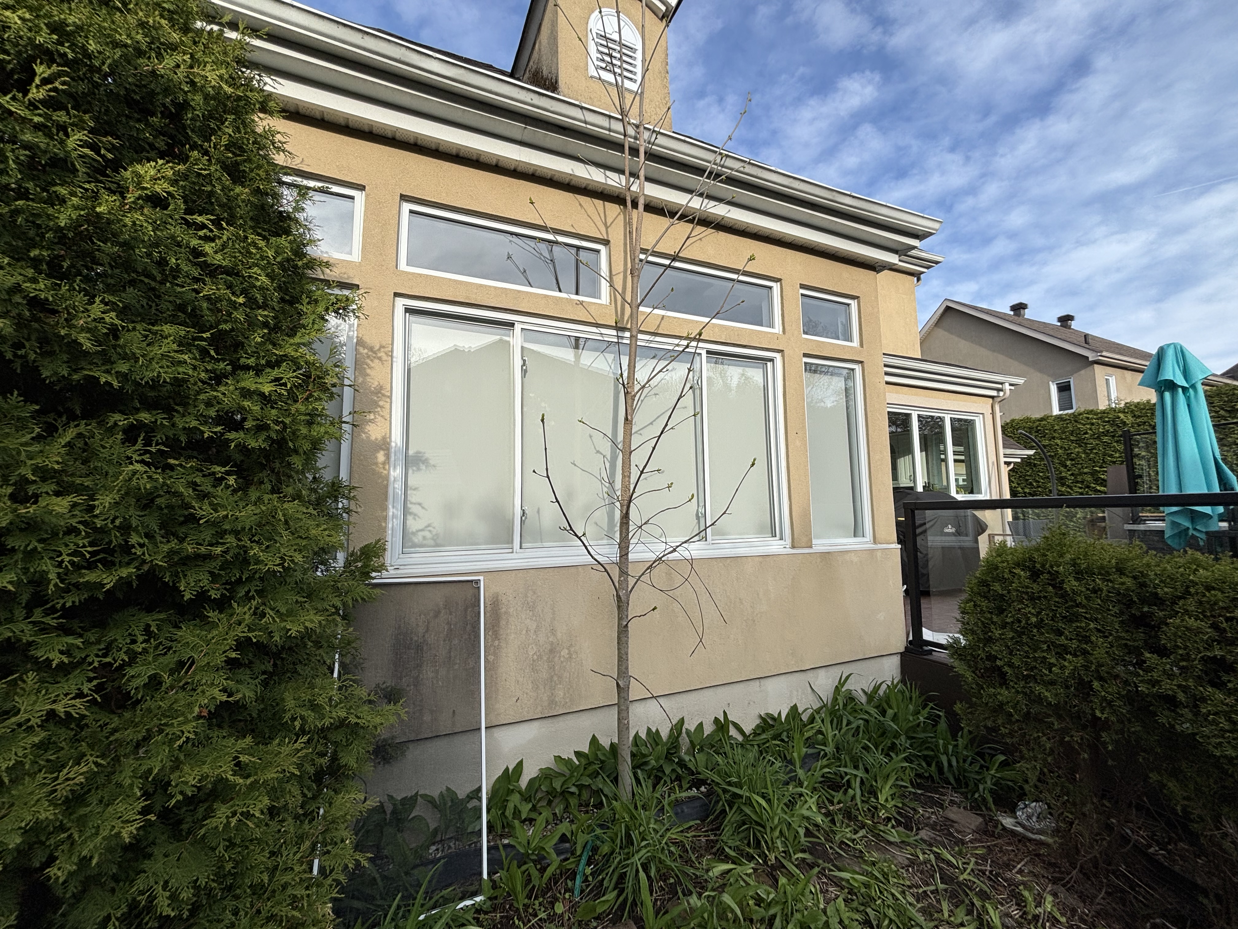 Window Cleaning Results