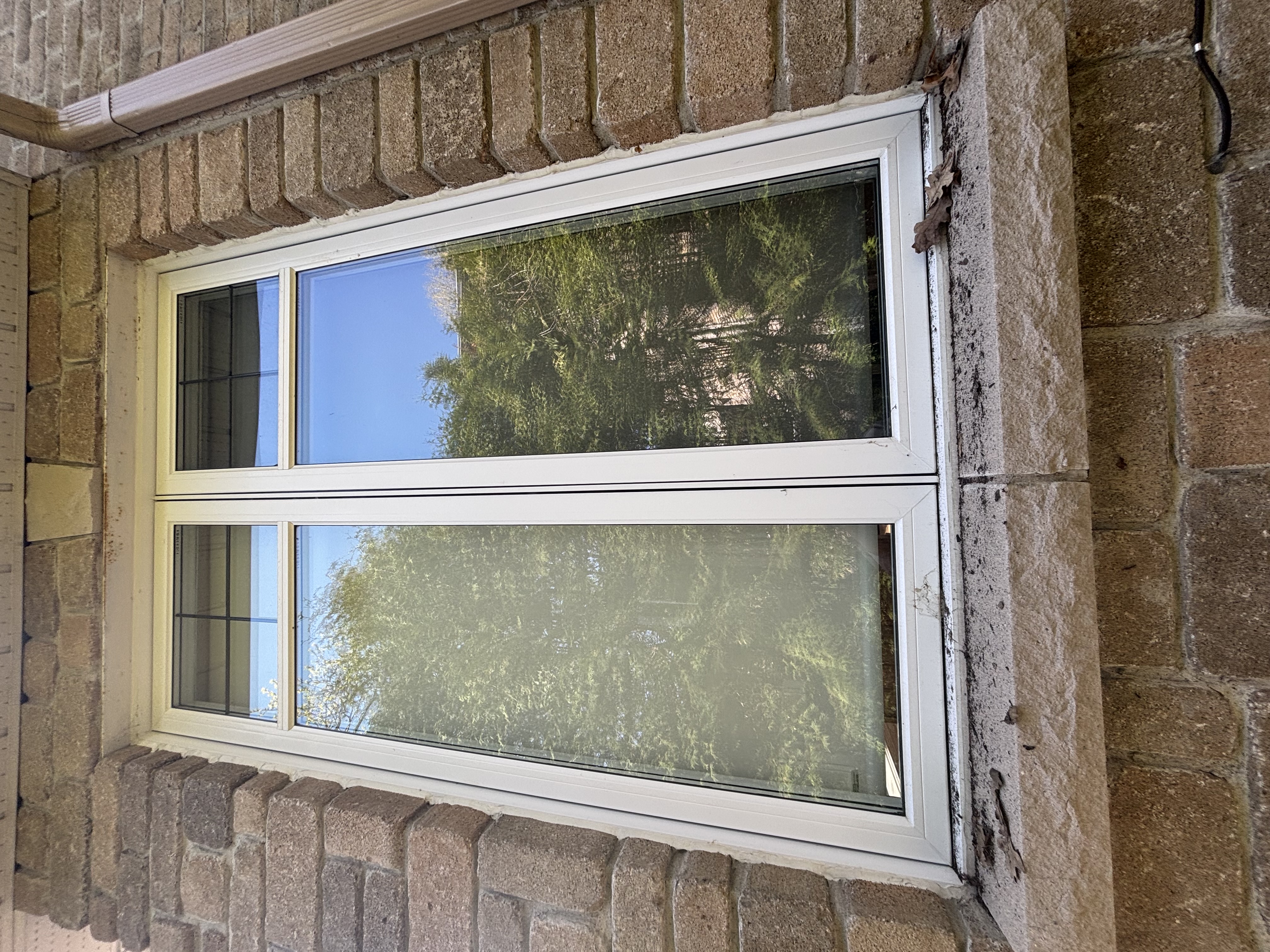 Window Cleaning Results