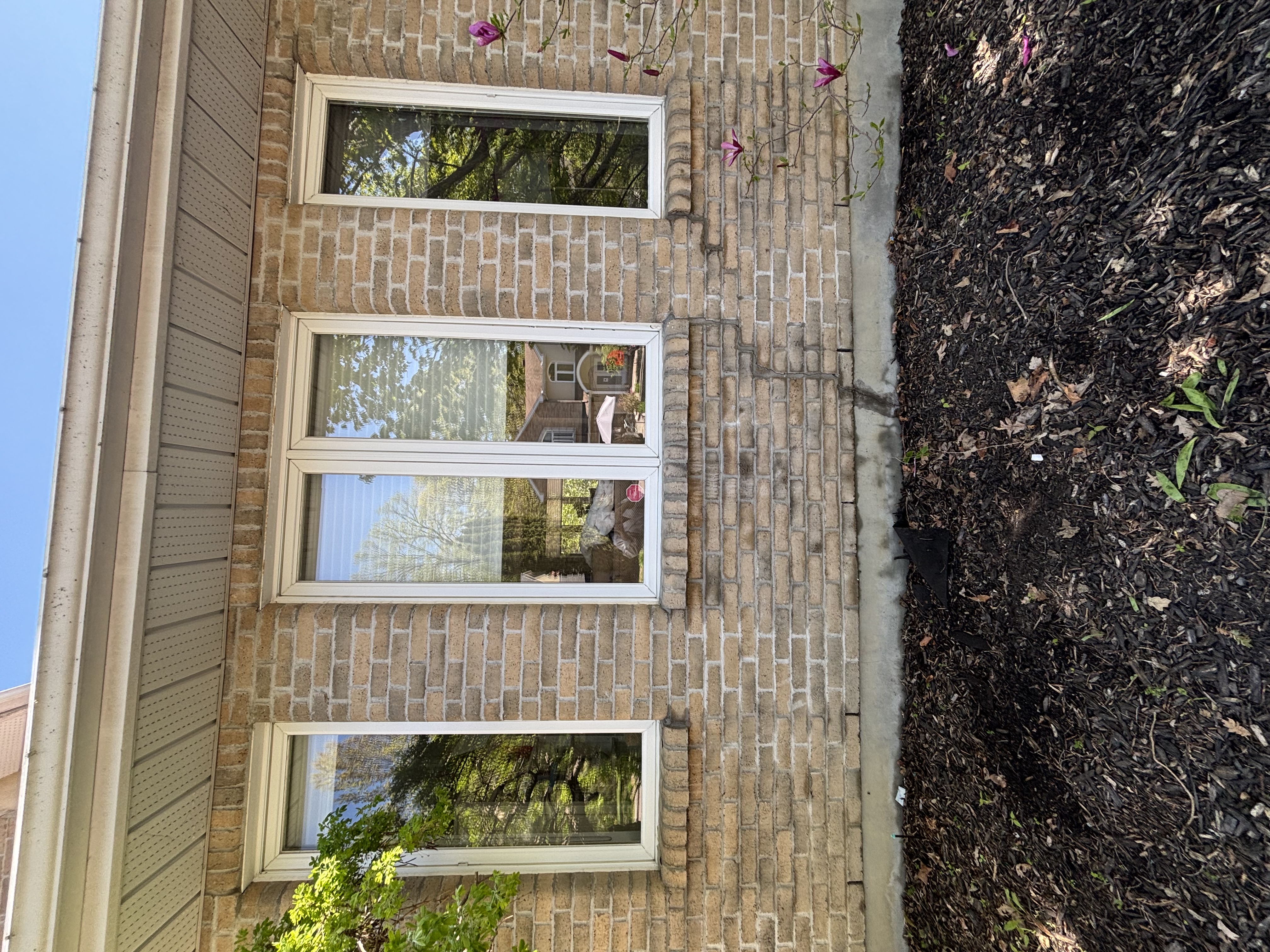 Window Cleaning Results
