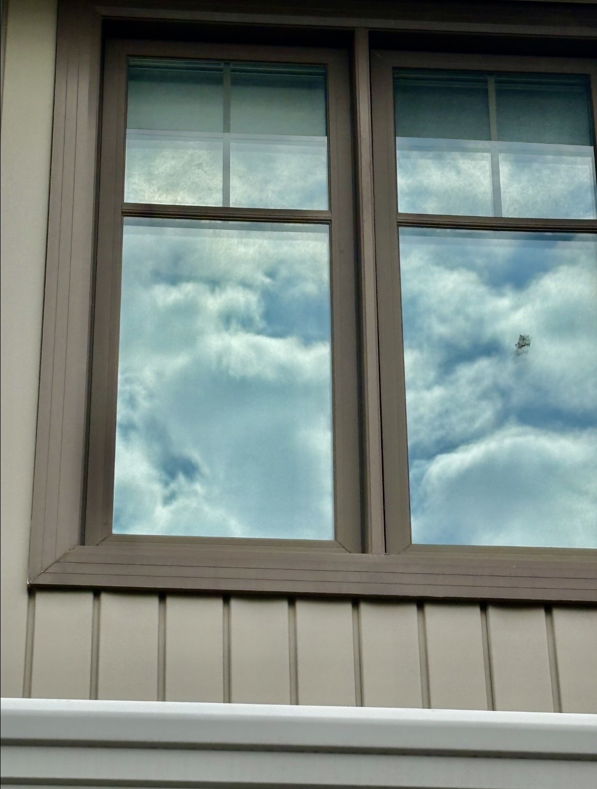 Window Cleaning