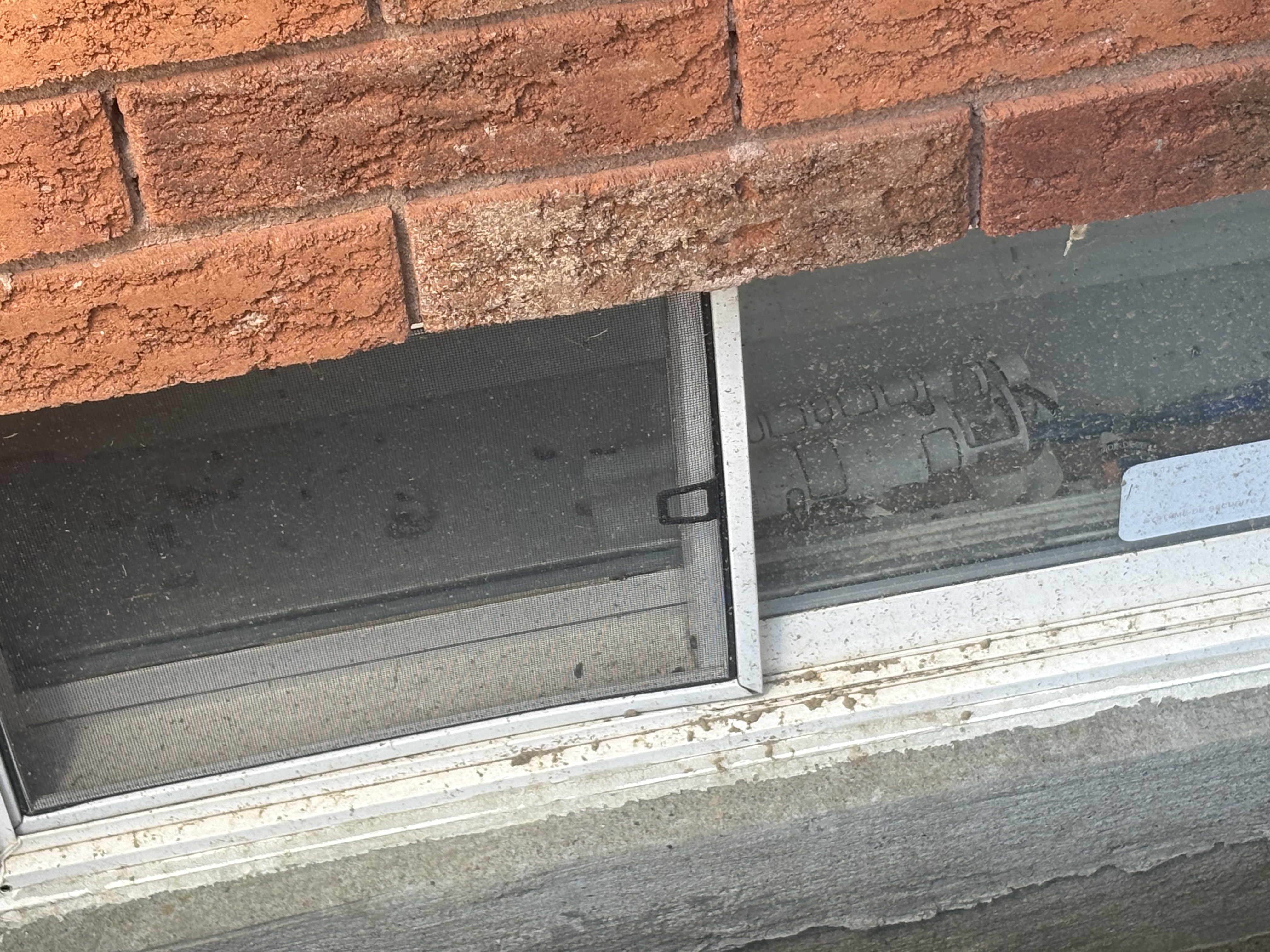 Garage door cleaning Results
