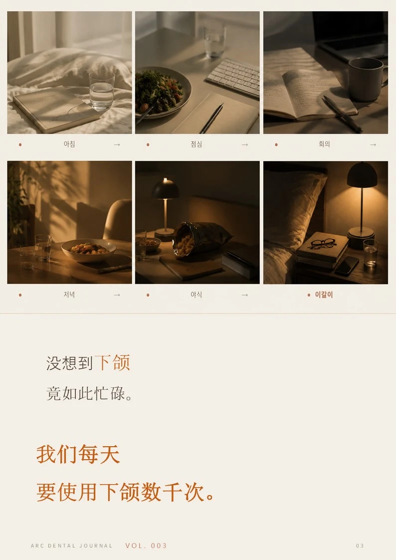 下颌比你想象的更忙——从早到晚