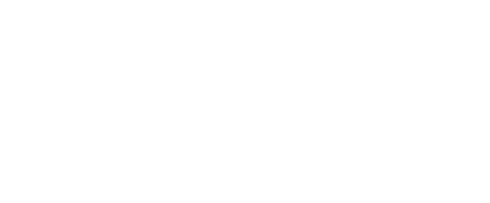 Shosh Finance Advisor