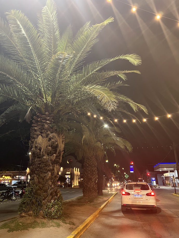 Zona Sur del GBA en otoño