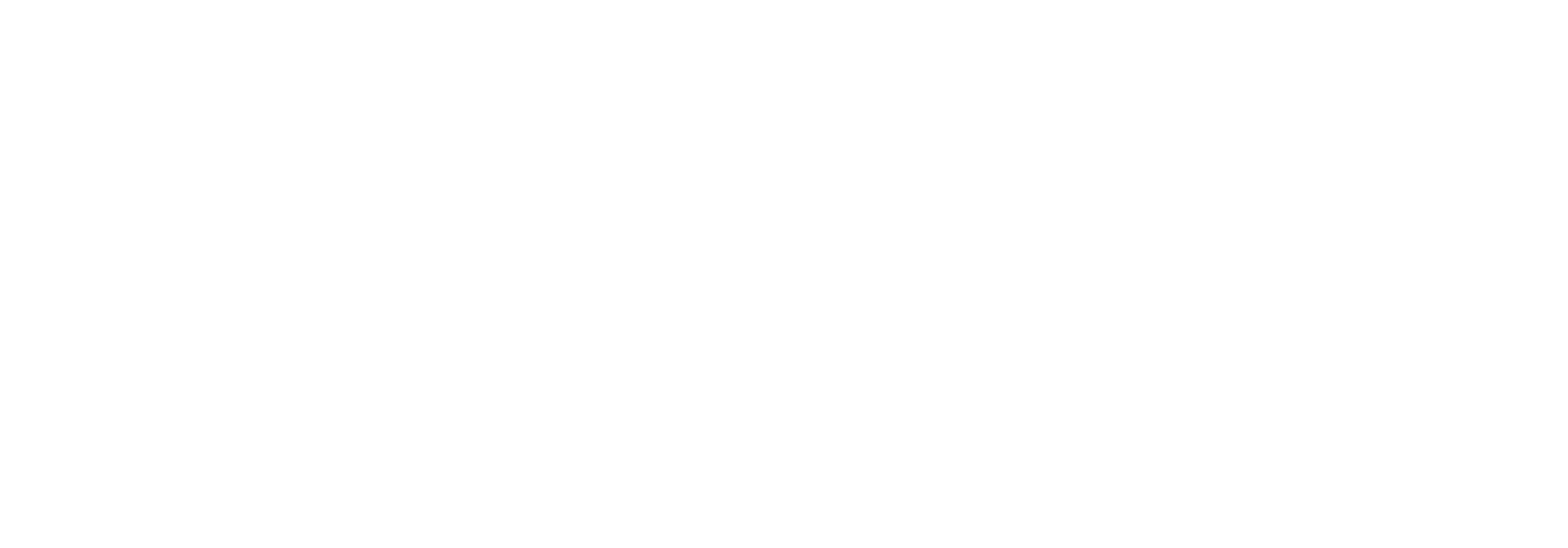 Logo FLIBA