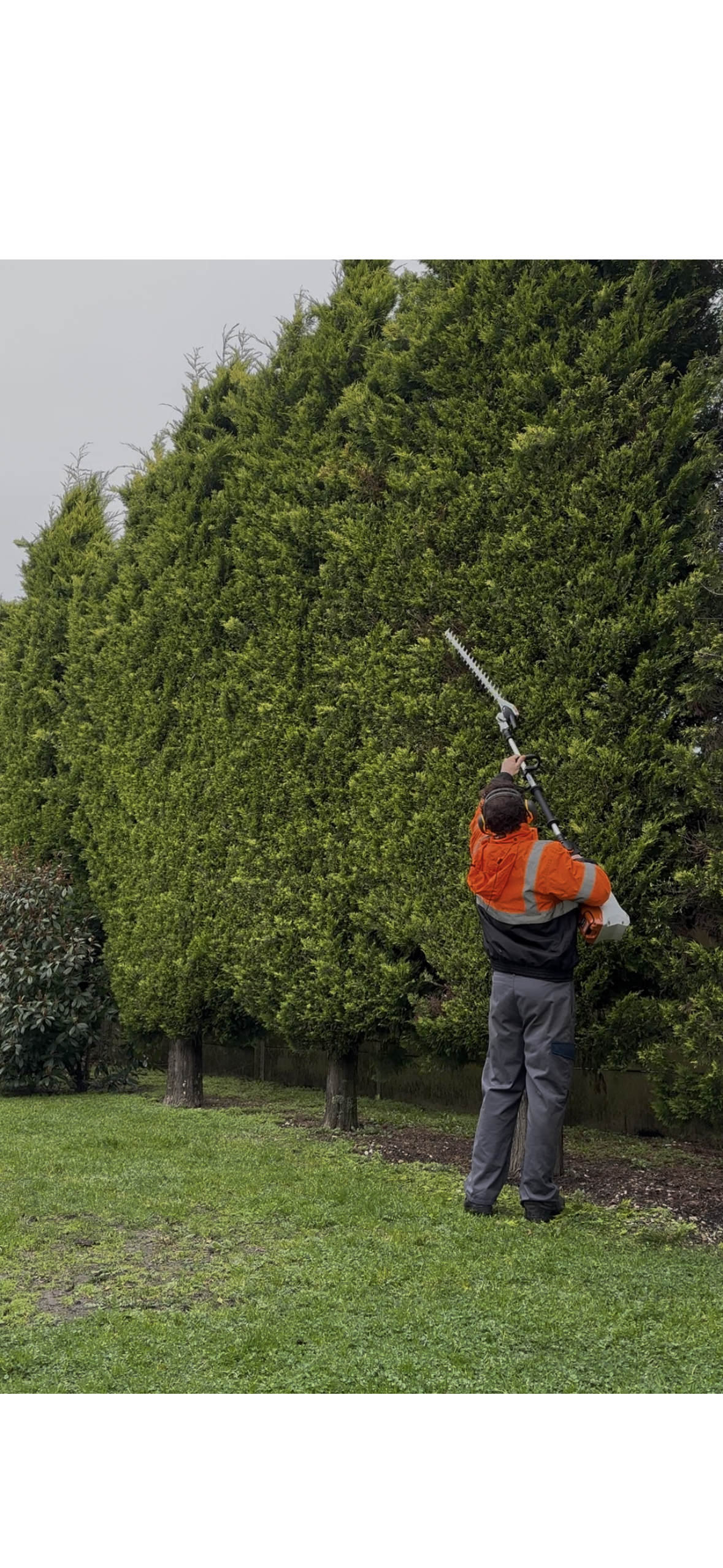Roman, jardinier professionnel travaillant dans un jardin en région Bordelaise